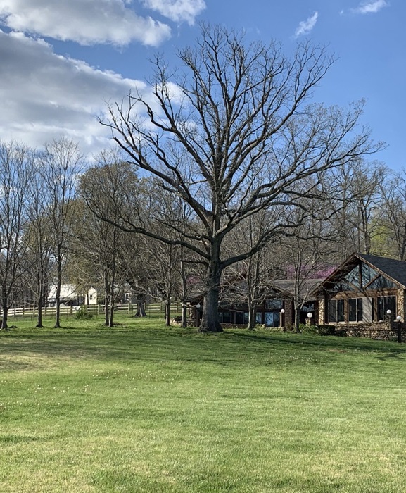 Main Lodge